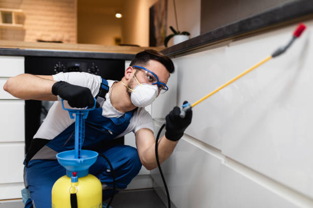 Trusted Kenton, TN Pest Control Experts