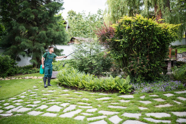 Best Ant Control Services  in Kenton, TN