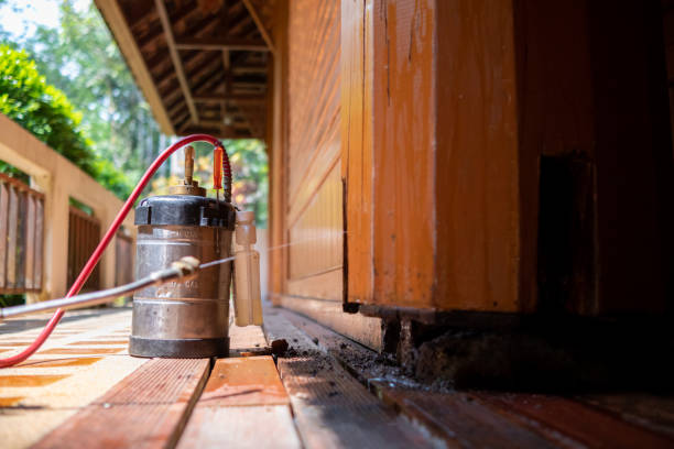 Best Affordable Pest Control Services  in Kenton, TN