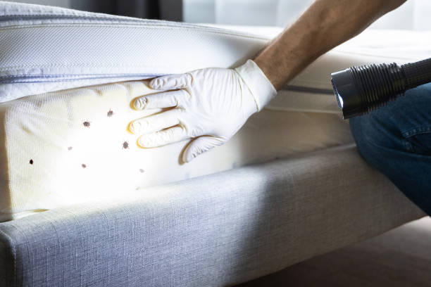 Pest Control Cost in Kenton, TN