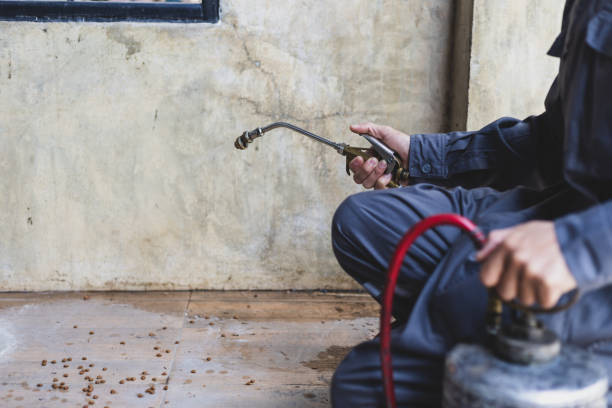 Wasp Removal Services in Kenton, TN